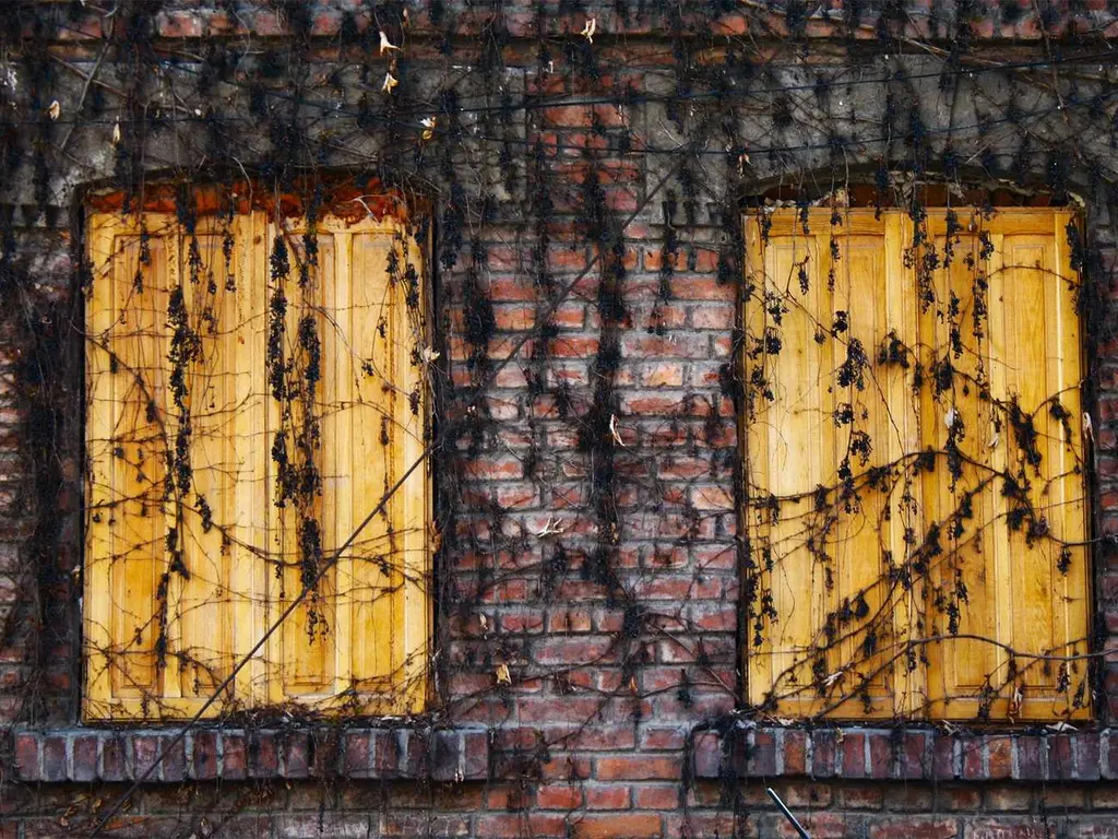 illustration du post