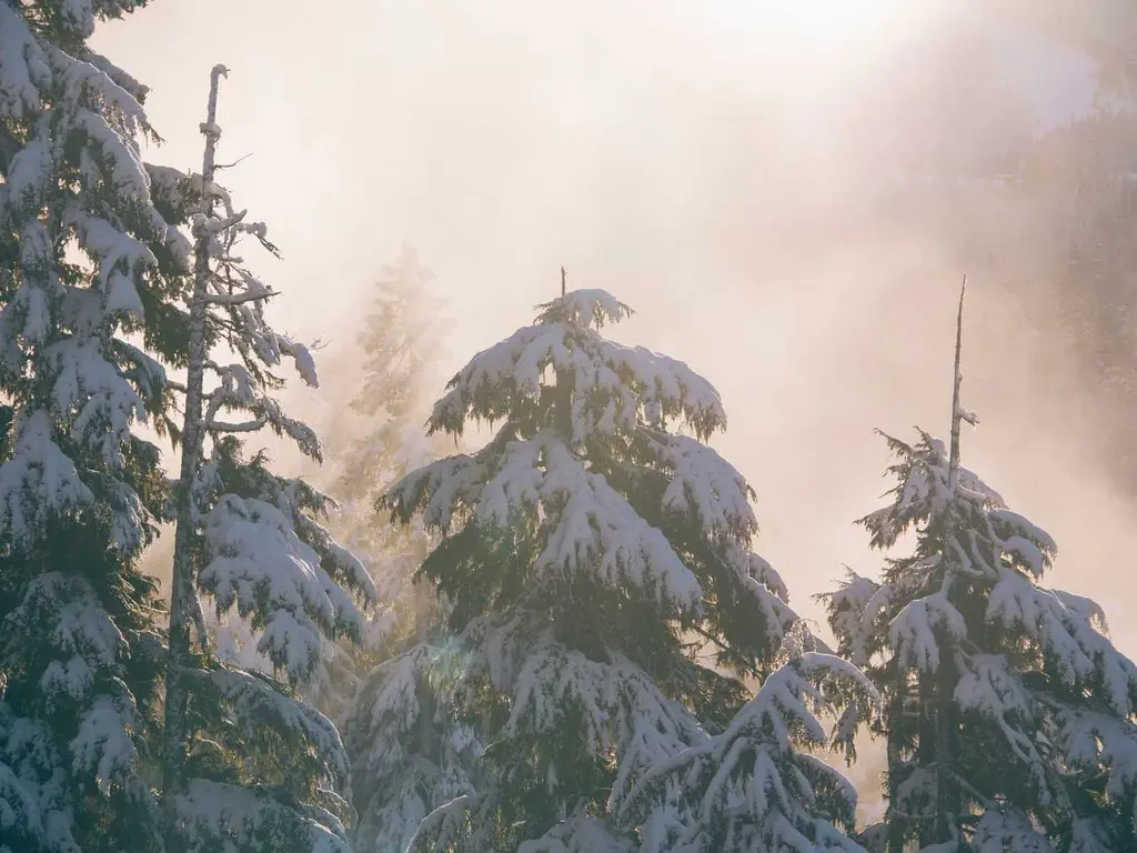 illustration du post