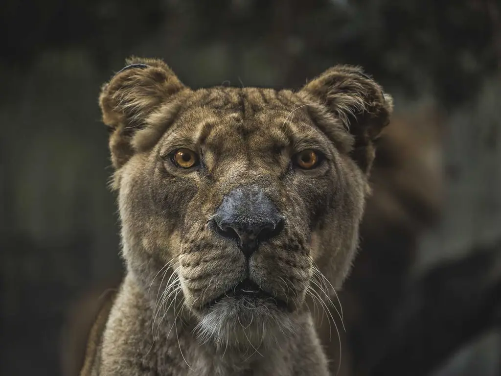 illustration du post